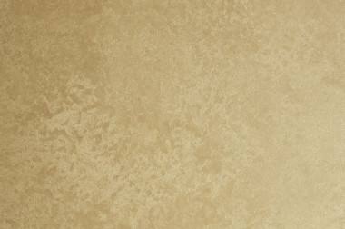 Decorative plaster PERSIA Gold 1kg - ELF014/1