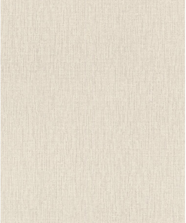 Tapeta Rasch Wall Textures VI (2026) - 484229RA