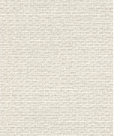 Tapeta Rasch Wall Textures VI (2026) - 312119RA