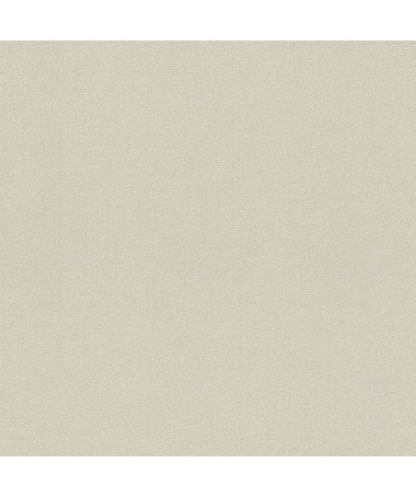 Tapeta Rasch Wall Textures VI (2026) - 441642RA