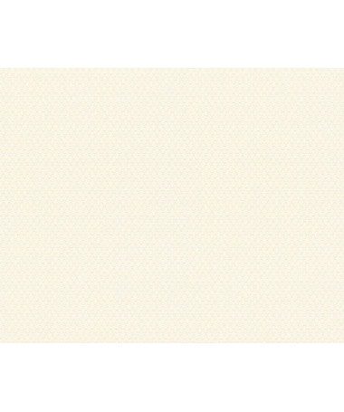 Tapeta AS Creation Trendwall - R37121-1